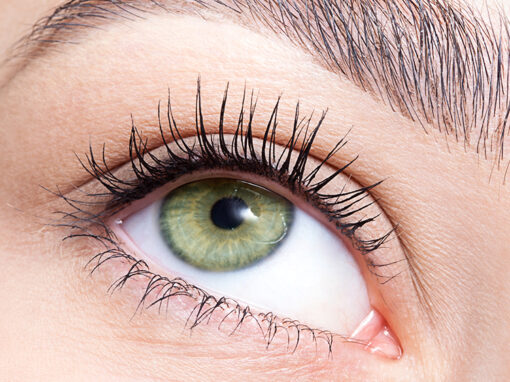 eye